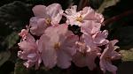     
: DSC08367.jpg
: 30
:	70.1 
ID:	3969364