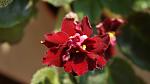     
: DSC08363.jpg
: 24
:	56.6 
ID:	3969403
