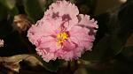    
: DSC08375.jpg
: 15
:	67.4 
ID:	3969433