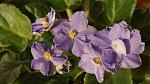     
: DSC08378.jpg
: 20
:	100.6 
ID:	3969439