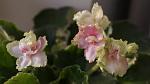     
: DSC08369.jpg
: 25
:	54.1 
ID:	3969450