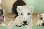     
: DSC_0305.jpg
: 25
:	90.3 
ID:	3970597