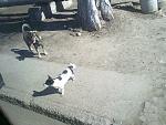     
: 16032012788.jpg
: 96
:	198.0 
ID:	3971709