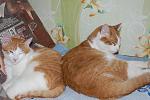     
: DSC_8578.jpg
: 17
:	117.8 
ID:	3976375