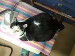     
: 180120121612.jpg
: 23
:	124.1 
ID:	3979365
