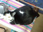     
: 180120121613.jpg
: 19
:	122.2 
ID:	3979366