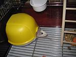     
: IMG_2368.JPG
: 25
:	97.0 
ID:	3980668