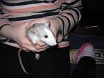     
: IMG_2380.JPG
: 41
:	85.0 
ID:	3980699