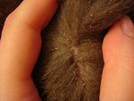    
: DSC05525.JPG
: 18
:	106.2 
ID:	3982059