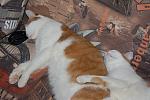     
: DSC_8609.jpg
: 17
:	135.8 
ID:	3982466