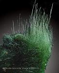     
: m-biss_15Az-2.JPG
: 7
:	29.5 
ID:	3984246