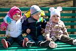     
: DSC_4612.jpg
: 68
:	129.6 
ID:	3989085
