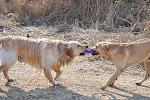     
: DSC_5937.jpg
: 36
:	235.4 
ID:	3989168
