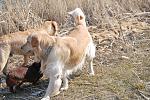     
: DSC_5908.jpg
: 73
:	244.8 
ID:	3989173