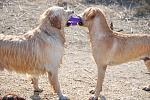     
: DSC_5934.jpg
: 35
:	152.4 
ID:	3989176