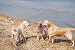     
: DSC_5933.jpg
: 37
:	204.8 
ID:	3989179
