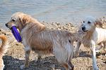     
: DSC_5946.jpg
: 32
:	131.7 
ID:	3989184