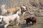     
: DSC_5909.jpg
: 38
:	240.8 
ID:	3989192