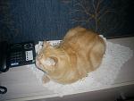     
: PIC_0005 (2).jpg
: 16
:	157.3 
ID:	3989403