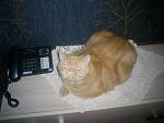     
: PIC_0006.jpg
: 20
:	151.9 
ID:	3989406