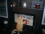     
: PIC_0122.jpg
: 25
:	102.8 
ID:	3989409