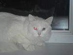     
: SAM_1134.jpg
: 41
:	59.7 
ID:	3991668