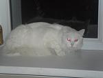     
: SAM_1131.jpg
: 38
:	62.1 
ID:	3991676