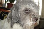     
: DSC06218.jpg
: 17
:	199.7 
ID:	3993009