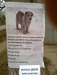     
: 21032012317.jpg
: 99
:	88.7 
ID:	3994233