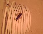     
: IMG0164A.jpg
: 36
:	153.5 
ID:	3994980