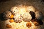     
: IMG_6352.jpg
: 48
:	65.9 
ID:	3999190
