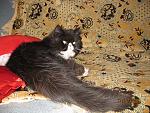     
: IMG_0722.jpg
: 28
:	151.6 
ID:	399972