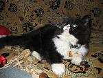     
: IMG_0732.jpg
: 25
:	109.8 
ID:	399973