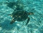     
: DSCN1968_новый размер.jpg
: 51
:	121.7 
ID:	3999742