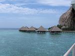     
: IMG_2392_новый размер.jpg
: 42
:	213.1 
ID:	3999745