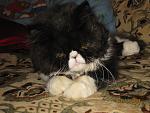     
: IMG_0708.jpg
: 24
:	92.9 
ID:	399976
