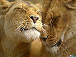     
: 0fyxnicakch0gtfctvznym0z21kdf5tg_2.jpg
: 14
:	135.1 
ID:	400103