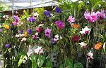     
: 71642759_big_photo.jpg
: 71
:	127.4 
ID:	4004835