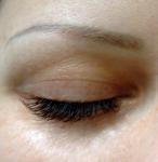     
: DSC_5921.jpg
: 12
:	74.7 
ID:	4007566