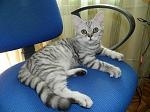     
: DSCN0386.jpg
: 34
:	184.1 
ID:	4009181
