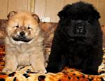     
: IMG_7025.JPG
: 16
:	73.4 
ID:	4011964