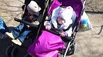     
: DSC_0150.jpg
: 83
:	155.3 
ID:	4012040
