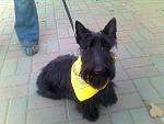     
: 25032012138.jpg
: 21
:	92.8 
ID:	4017777