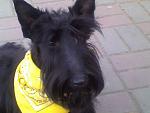     
: 25032012140.jpg
: 19
:	73.4 
ID:	4017778