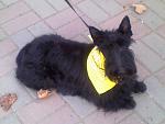     
: 25032012143.jpg
: 25
:	84.1 
ID:	4017780