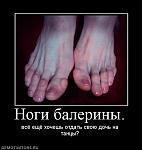     
: 805362_nogi-balerinyi.jpg
: 44
:	28.3 
ID:	4021914