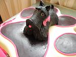    
: P3220004.JPG
: 22
:	279.6 
ID:	4021996