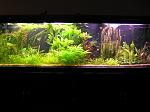     
: DSC009464.jpg
: 79
:	198.9 
ID:	4027592