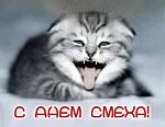     
: 6QCQ78uART.jpg
: 1
:	66.7 
ID:	4028591