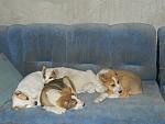     
: DSCN1209.JPG
: 21
:	243.7 
ID:	4030654